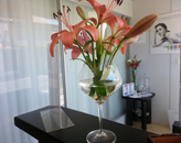 Estetica y Spa Nouvelle Image Coronado